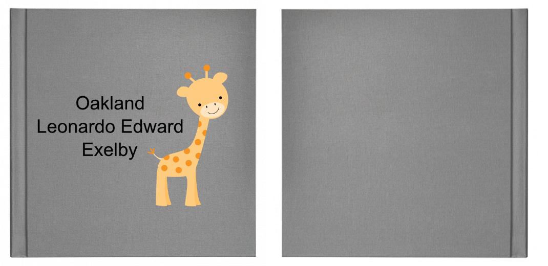 Matted Photo Album - VERSATILE SQUARE- 20 photos The Photographer's Toolbox PD Custom Product  The Photographer's Toolbox