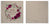 Matted Photo Album - SQUARE - 20 photos The Photographer's Toolbox PD Custom Product  The Photographer's Toolbox