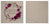 Matted Photo Album - SQUARE - 20 photos The Photographer's Toolbox PD Custom Product  The Photographer's Toolbox