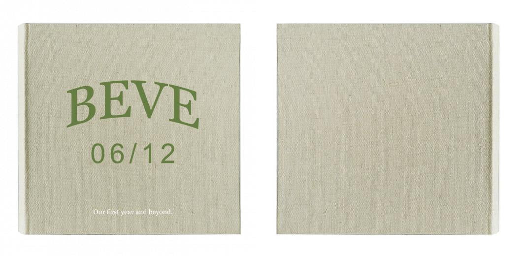 Slip-in Pocket Photo Album: 200 Photo Capacity - 4x6″ The Photographer's Toolbox PD Custom Product  The Photographer's Toolbox