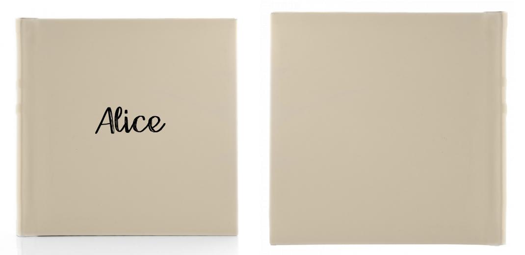 &lt;strong&gt; - 70% off FINAL STOCK - &lt;/strong&gt; 10x10&#34;- 20 or 30 Photo - Classic Peel&#39;n&#39;Stick Photo Album - SQUARE The Photographer's Toolbox PD Custom Product  The Photographer's Toolbox