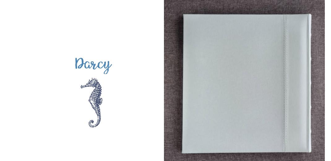 Dry Mount Photo Album - White: 25 pages (50 Sides) The Photographer's Toolbox PD Custom Product  The Photographer's Toolbox