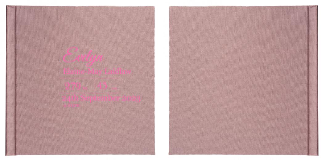 Matted Photo Album - VERSATILE SQUARE- 20 photos The Photographer's Toolbox PD Custom Product  The Photographer's Toolbox