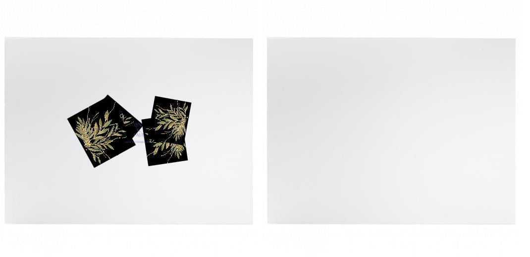 LARGE Gift Box - with FREE lid printing - White or Brown. Can hold a 10x8″ photo album. The Photographer's Toolbox PD Custom Product  The Photographer's Toolbox