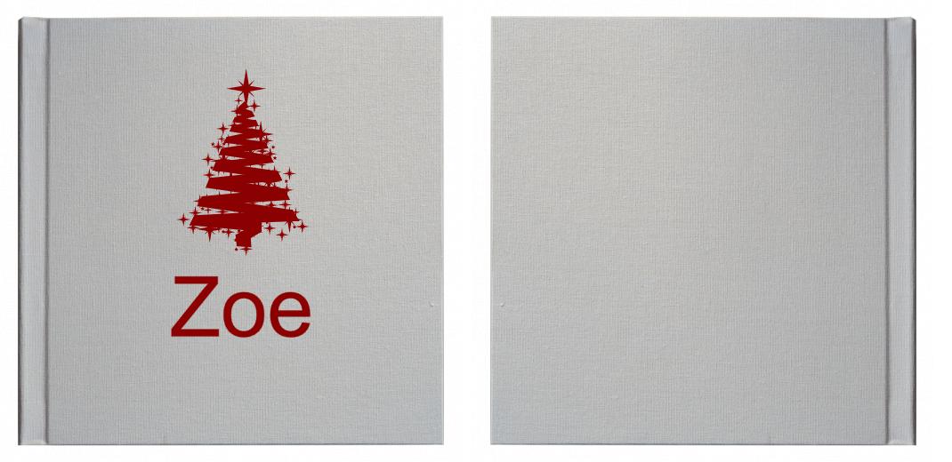 Matted Photo Album - VERSATILE SQUARE- 20 photos The Photographer's Toolbox PD Custom Product  The Photographer's Toolbox