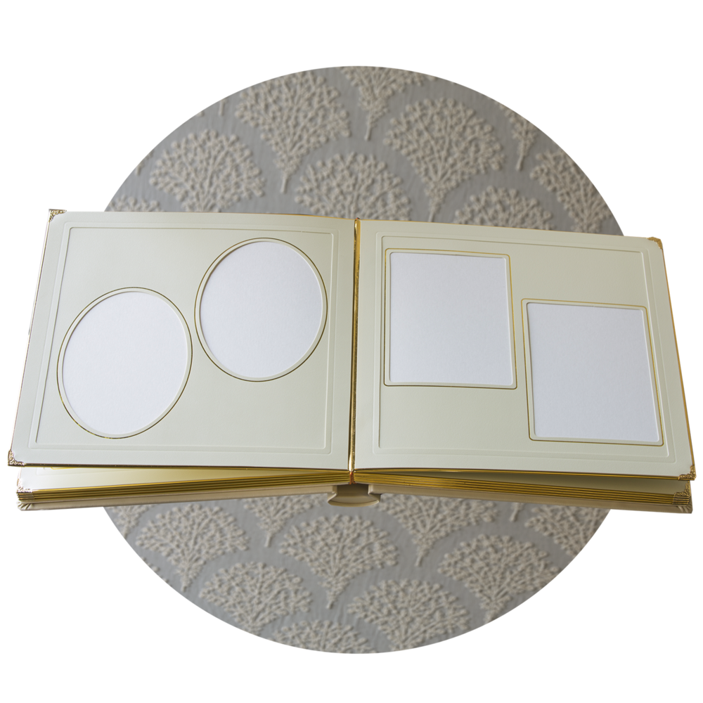Classic Matted Photo Album: 10x10" - IVORY - 10, 12, or 15 pages The Photographer's Toolbox PD Custom Product 157.00 The Photographer's Toolbox